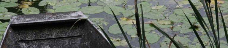 balade en barque marais poitevin